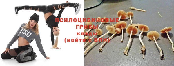 экстази Алексин