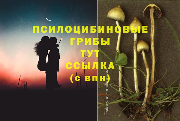 круглые Алексеевка