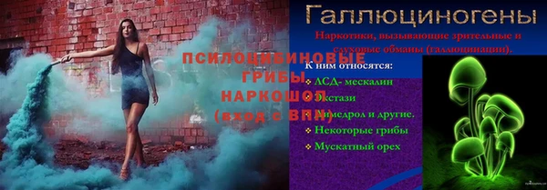 спайс Покачи