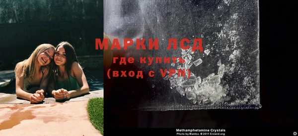 индика Абаза