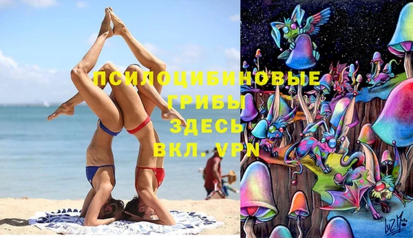 круглые Алексеевка