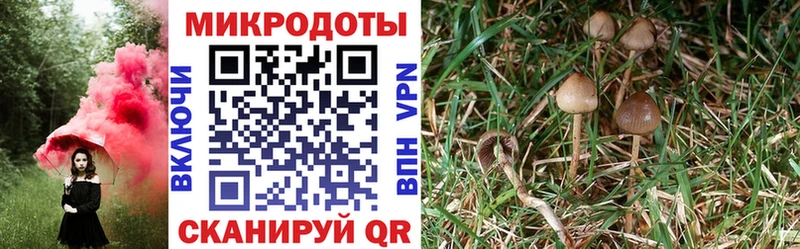 Псилоцибиновые грибы MAGIC MUSHROOMS  закладки  Петровск 