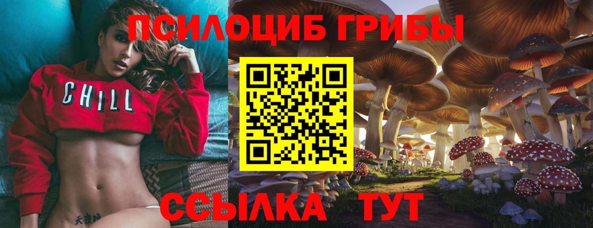 Псилоцибиновые грибы MAGIC MUSHROOMS  Вход с VPN  Петровск 