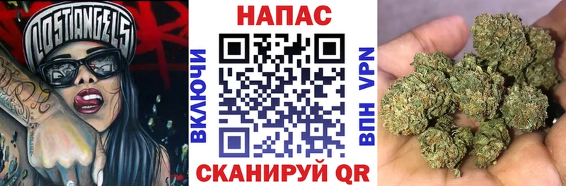 Конопля Ganja  Петровск 